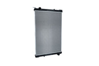 Motora dzesēsanas radiators - 509885