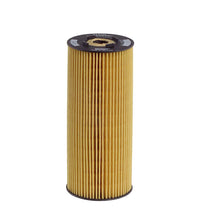 Eļļas filtrs - E197H D06