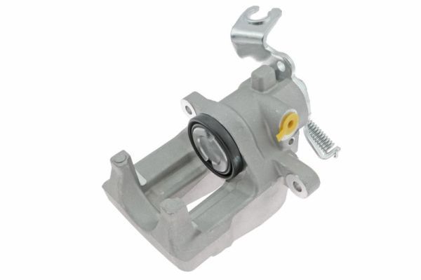Jarrusatula - CZH1154