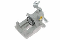 Jarrusatula - CZH1154