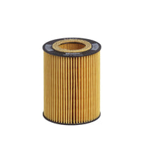 Eļļas filtrs - E106H D34