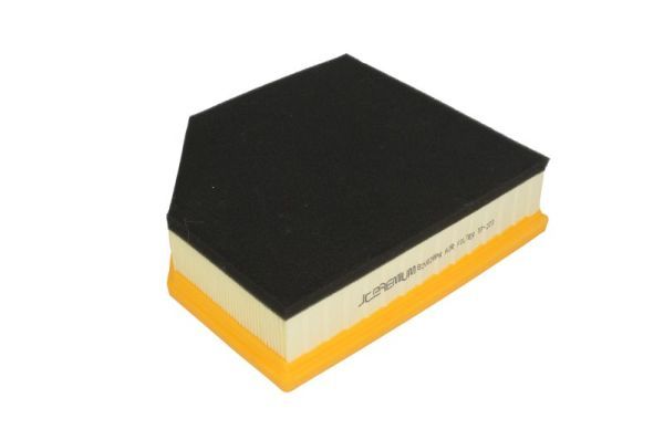 Gaisa filtrs - B2V028PR