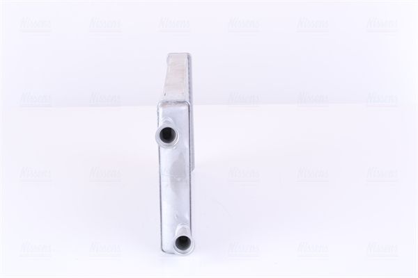 Siltummainis, Salona apsilde - 70978