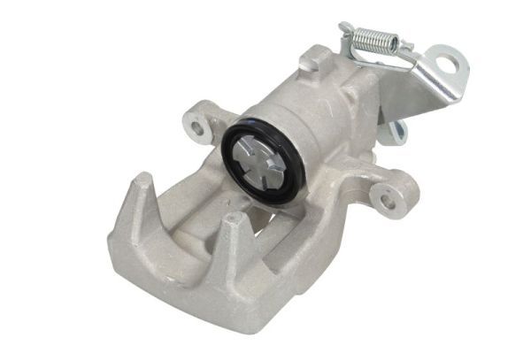 Jarrusatula - CZH1504