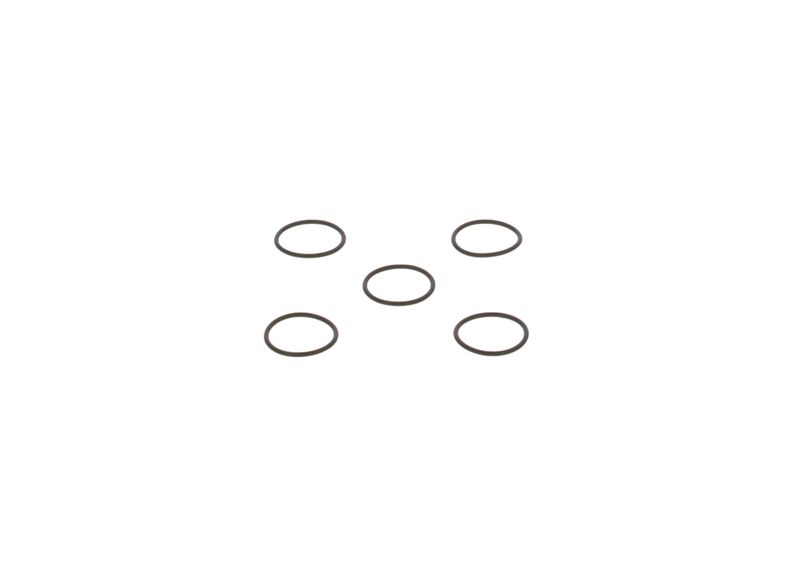 Degvielas sūkņa elements - 2.440.210.026