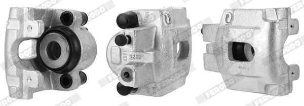 Jarrusatula - FCL695340