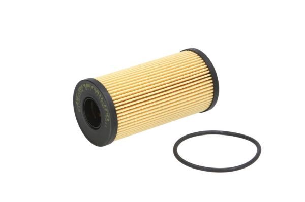 Eļļas filtrs - B1X031PR