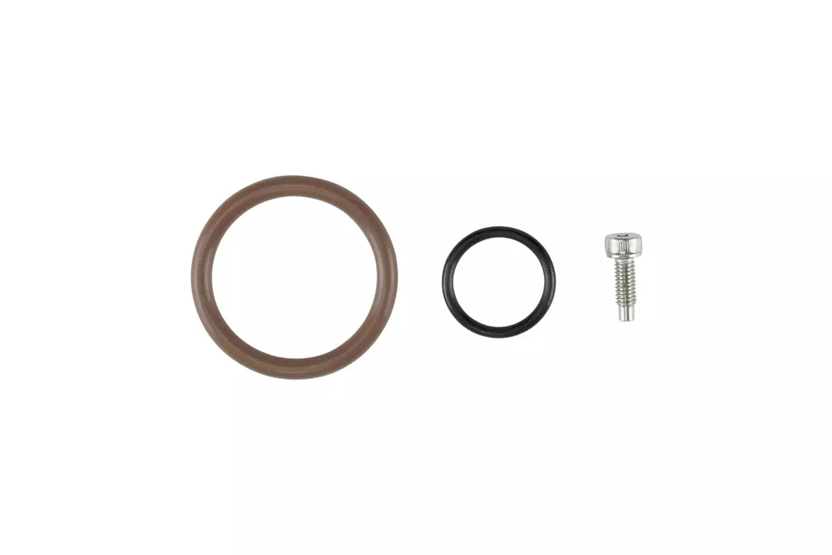 Oil Cap - LS O-Ring - TS-0893-3002